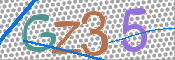 CAPTCHA 驗證圖片