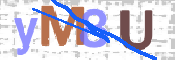 CAPTCHA 驗證圖片