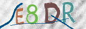 CAPTCHA 驗證圖片