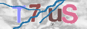 CAPTCHA 驗證圖片