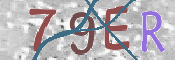 CAPTCHA 驗證圖片