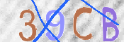 CAPTCHA 驗證圖片