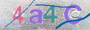 CAPTCHA 驗證圖片