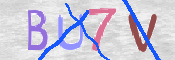 CAPTCHA 驗證圖片