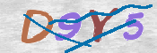 CAPTCHA 驗證圖片