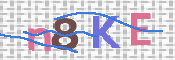 CAPTCHA 驗證圖片