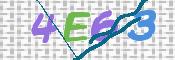 CAPTCHA 驗證圖片