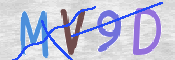 CAPTCHA 驗證圖片