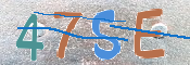 CAPTCHA 驗證圖片