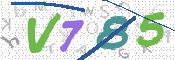 CAPTCHA 驗證圖片