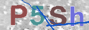 CAPTCHA 驗證圖片