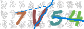CAPTCHA 驗證圖片