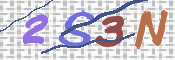 CAPTCHA 驗證圖片