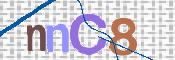 CAPTCHA 驗證圖片