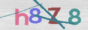 CAPTCHA 驗證圖片