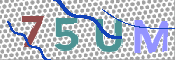 CAPTCHA 驗證圖片