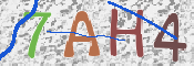 CAPTCHA 驗證圖片