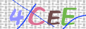 CAPTCHA 驗證圖片