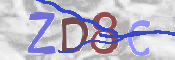 CAPTCHA 驗證圖片