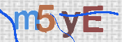 CAPTCHA 驗證圖片