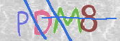 CAPTCHA 驗證圖片