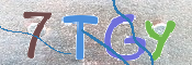 CAPTCHA 驗證圖片
