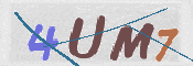 CAPTCHA 驗證圖片