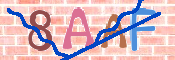 CAPTCHA 驗證圖片
