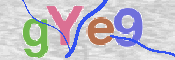 CAPTCHA 驗證圖片