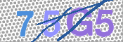 CAPTCHA 驗證圖片