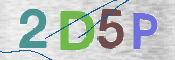 CAPTCHA 驗證圖片