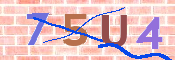 CAPTCHA 驗證圖片