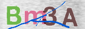 CAPTCHA 驗證圖片