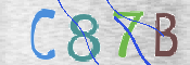 CAPTCHA 驗證圖片