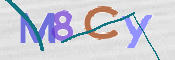 CAPTCHA 驗證圖片