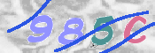 CAPTCHA 驗證圖片