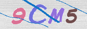 CAPTCHA 驗證圖片