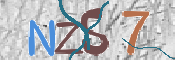 CAPTCHA 驗證圖片