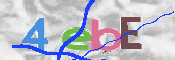 CAPTCHA 驗證圖片