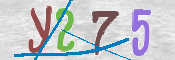 CAPTCHA 驗證圖片
