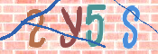 CAPTCHA 驗證圖片