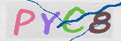 CAPTCHA 驗證圖片