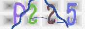 CAPTCHA 驗證圖片