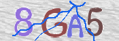 CAPTCHA 驗證圖片