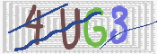 CAPTCHA 驗證圖片