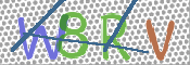 CAPTCHA 驗證圖片