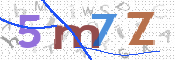 CAPTCHA 驗證圖片