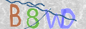 CAPTCHA 驗證圖片