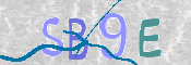 CAPTCHA 驗證圖片