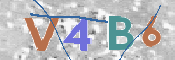 CAPTCHA 驗證圖片